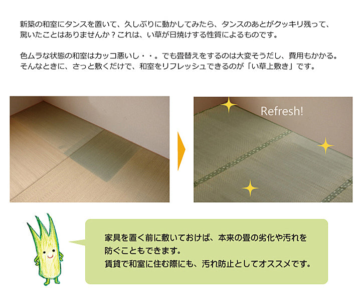 熊本県八代産い草使用のい草上敷きカーペット市松織 不知火（しらぬい）  江戸間・本間・三六間・団地間