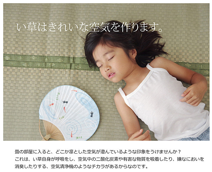 熊本県八代産い草使用のい草上敷きカーペット市松織 不知火（しらぬい）  江戸間・本間・三六間・団地間
