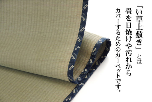 熊本県八代産い草使用のい草上敷きカーペット糸引織 立山（たてやま）  江戸間・本間・三六間・団地間・六一間