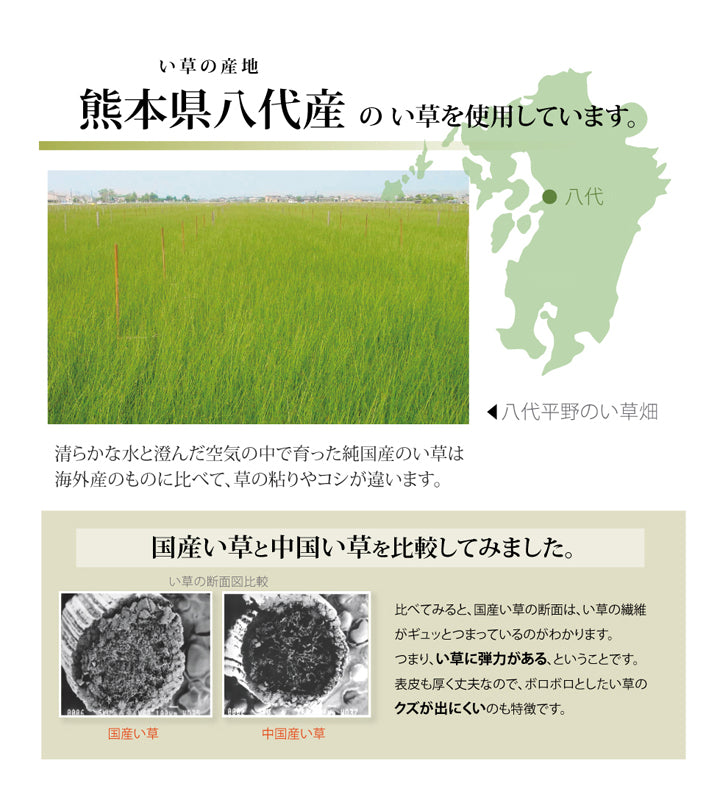 純国産 い草のシーツ（寝ござ）『球磨川』シングル約88×180cm（熊本県八代産イ草使用）