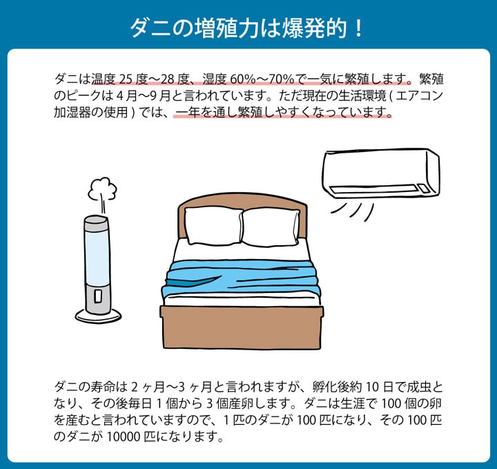 ダニZERO（ゼロ）への挑戦！減ダニ敷き布団