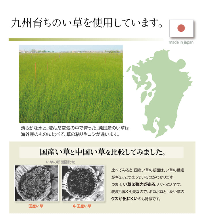 国産（九州産）のい草を使用した敷きパッド「草ね」