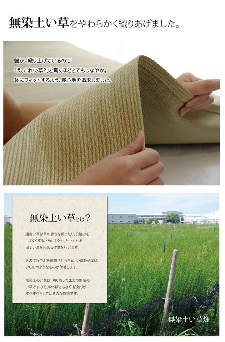 医師との共同開発 い草寝具 『アスク 汗取パッド』