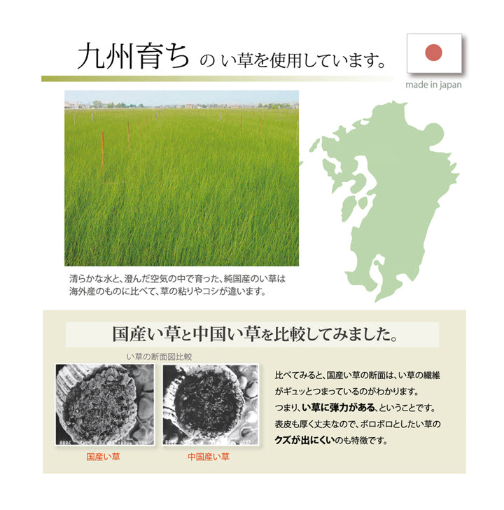 医師との共同開発 い草寝具 『アスク 汗取パッド』