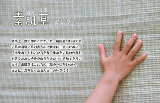 純国産 やわらかい草の敷きパッド 『さらさら素肌草ベビー敷きパッド』 約70×120cm (中綿入り)