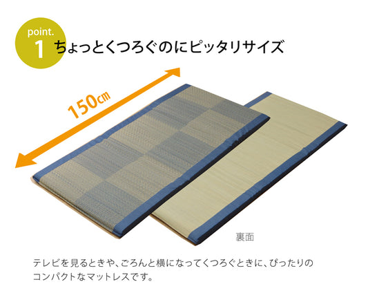 い草を使用したシンプルな格子柄のごろ寝フリーマッ『ノア 私の場所マット』約70×150cm (中材:固わた40mm)