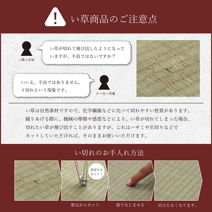い草を使用したシンプルな格子柄のフリーマット枕付き （マット 約90×200cm）