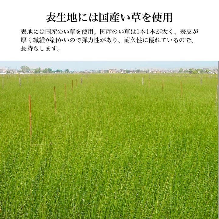 大人気「お父さん　お母さんへのギフトシリーズ」父・母刺繍でお父さん、お母さん専用の日本製のい草足枕
