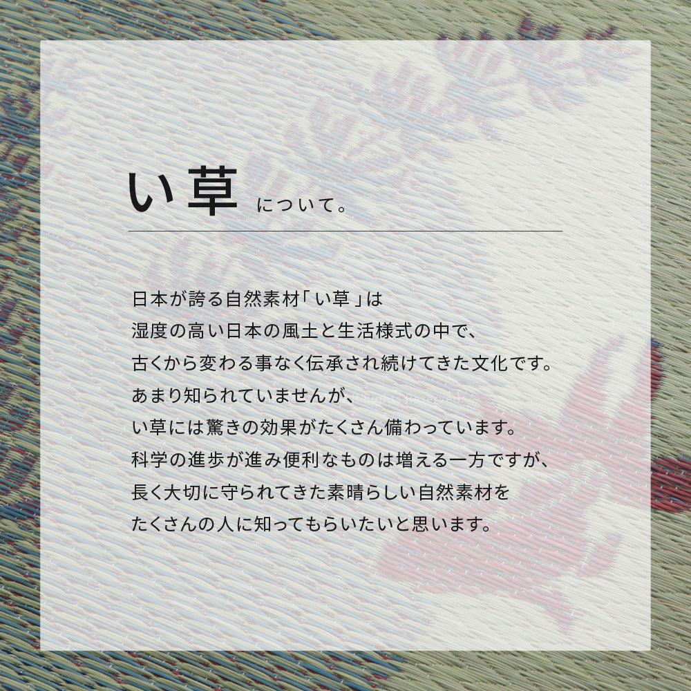 い草の湿度調整機能でサラリと爽やかな肌触り い草ラグ(裏貼り)涼水