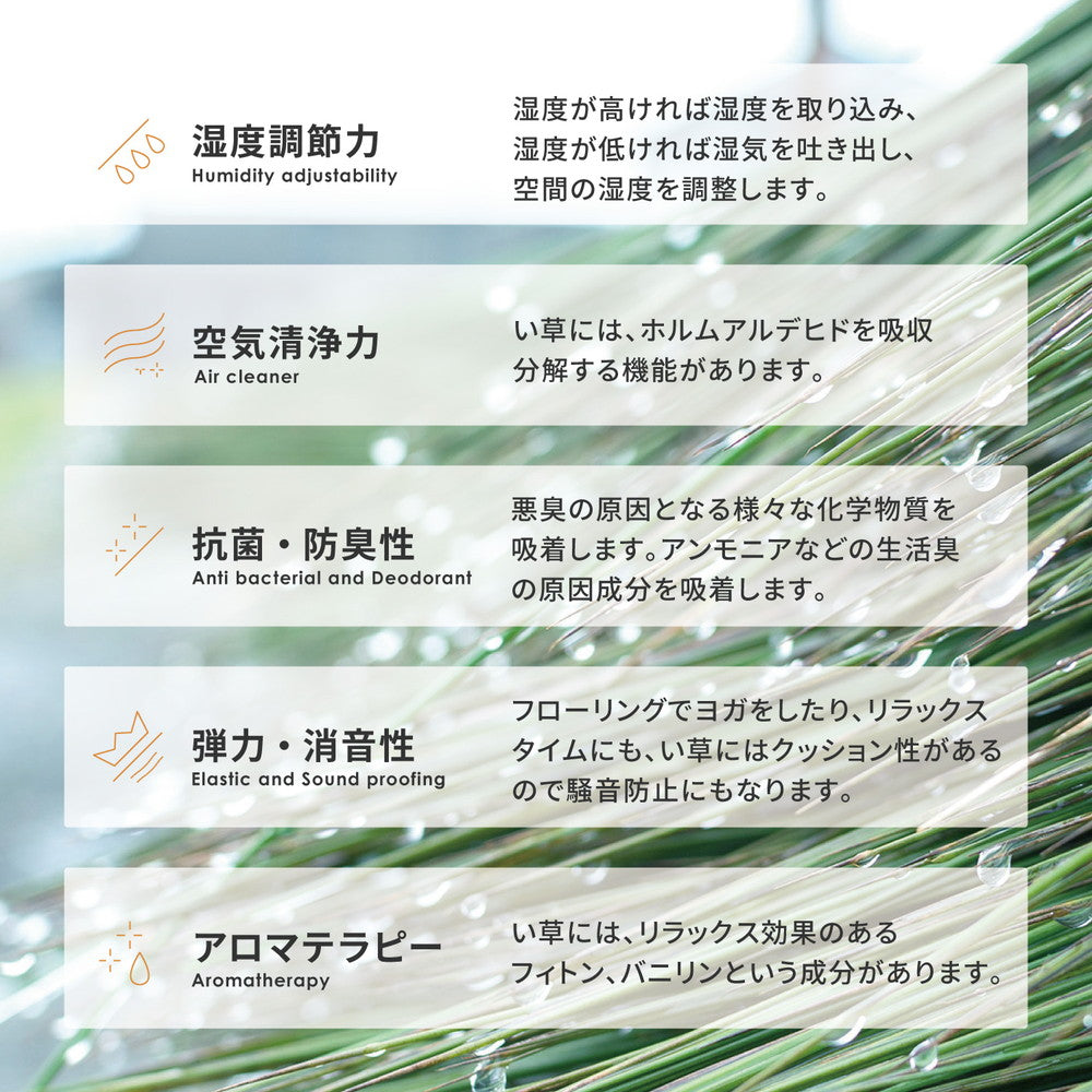 い草の湿度調整機能でサラリと爽やかな肌触り い草ラグ(裏貼り)涼水