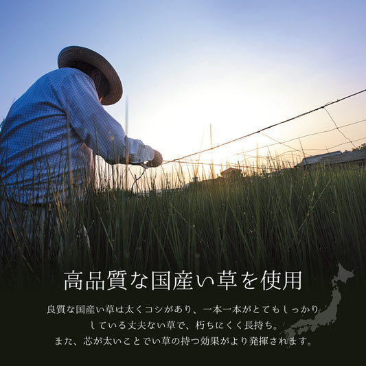 上質な国産い草のみを使用した国産のい草ラグ レーヴ（裏貼り）