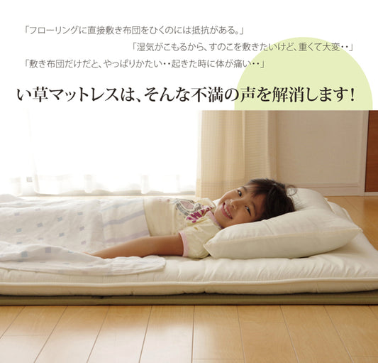 純国産い草使用折りたたみ マットレス『い草マットレス』