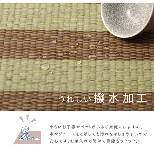 はっ水加工で中材ウレタン入りのふっくらい草ラグ 撥水ラスター