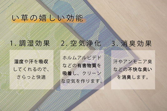 涼しさを感じるきれいなグラデーションのい草ラグカーペット ルース