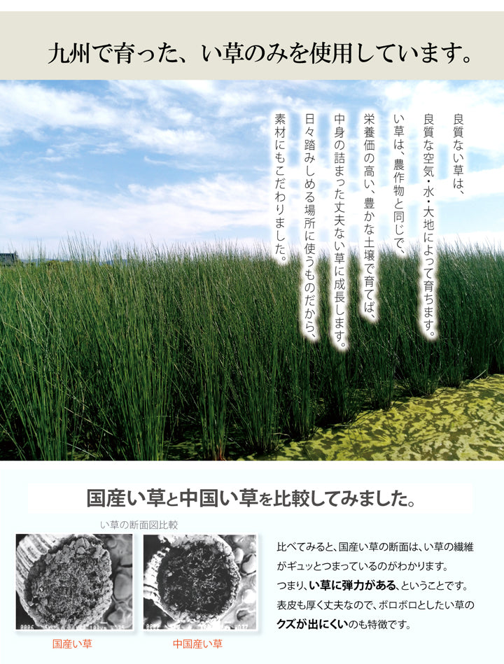 国産い草のみを使用した深みのある織りの風合いを楽しめる い草玄関マット