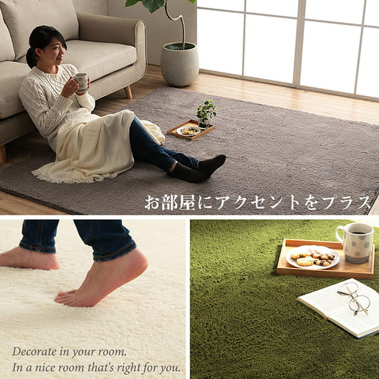 オールシーズン使えるふわさらな触り心地の洗えるホットカーペット対応コンパクトラグ　フィリップ2