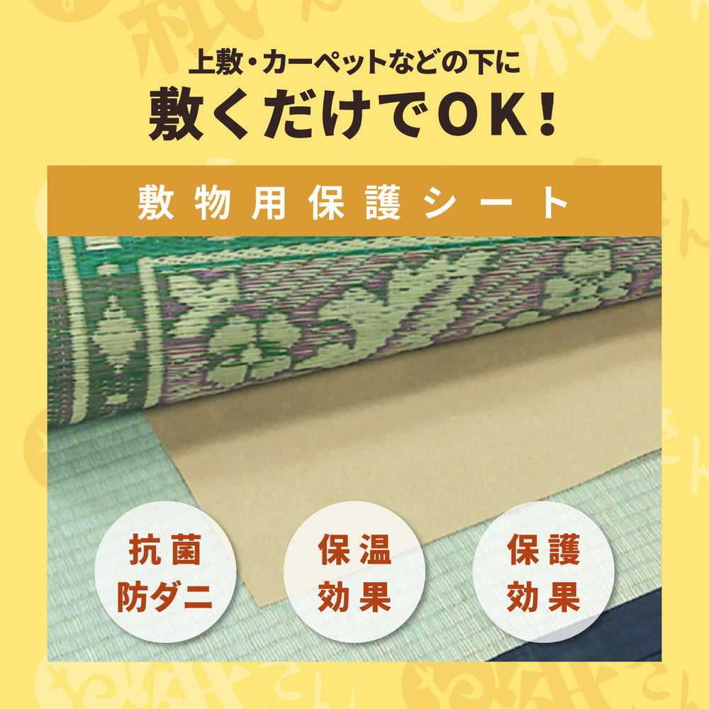 敷物の下に敷くだけ！抗菌効カビ敷物用保護シート　お紙さん