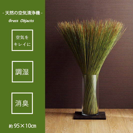 お部屋に置くだけで消臭効果を発揮してくる、い草そのものをいかした消臭機能付きの観葉植物