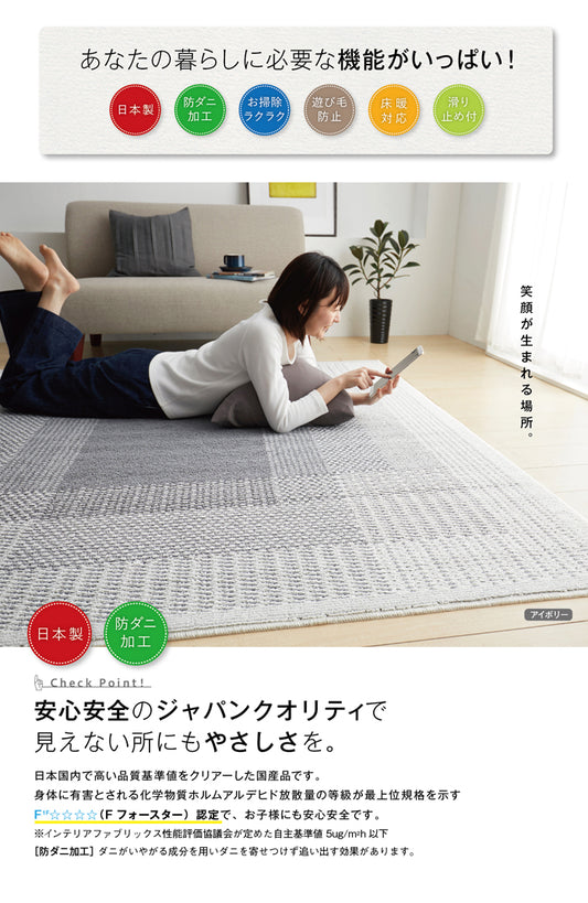 北欧テイスト透明感のあるシンプル防ダニリビングラグ Filnus - フィルナス