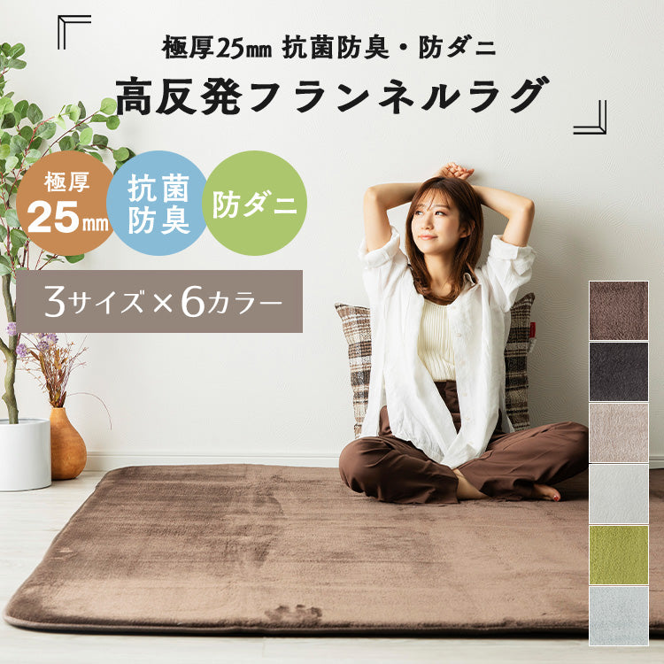 極厚25mm 抗菌防臭・防ダニ ホットカーペットカバー フランネルラグマット