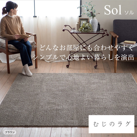 日本製防ダニ加工のついたアレルブロックオールシーズンシンプル洗える無地ラグ ソル【JAN:4549781289915】